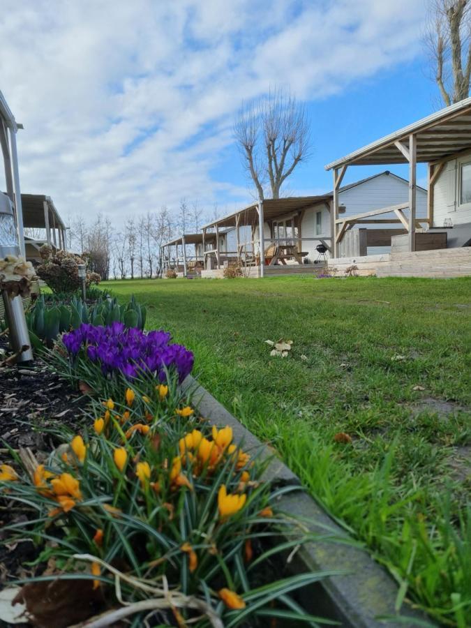 Chalet Tulpenweide - Recreatie Breezand Eksteriør billede