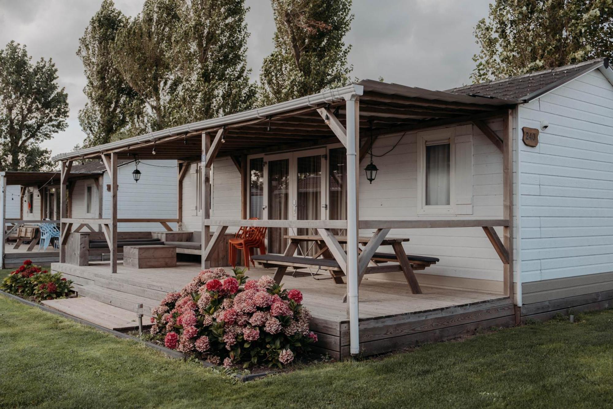 Chalet Tulpenweide - Recreatie Breezand Eksteriør billede